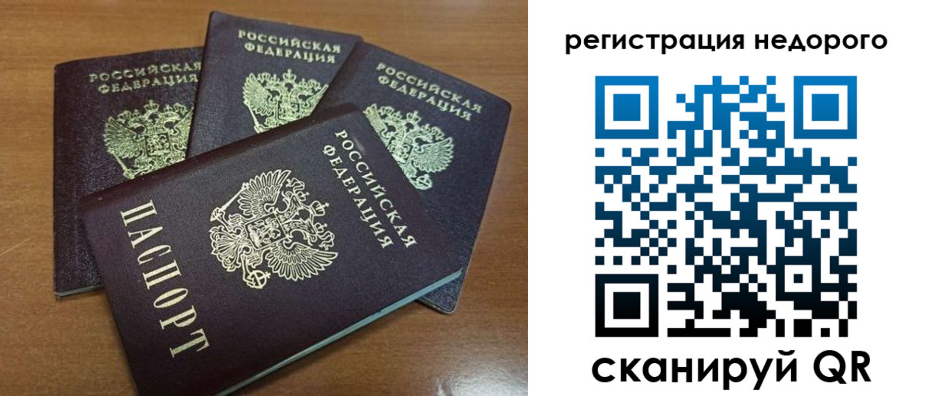 прописка штамп в Пионерском